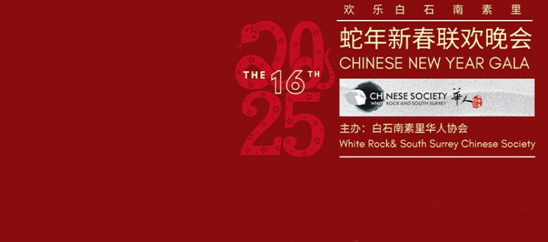 2025 Chinese New Year Gala Celebration